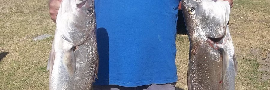 Gansbaai Boet se Baai se kabeljoue_1